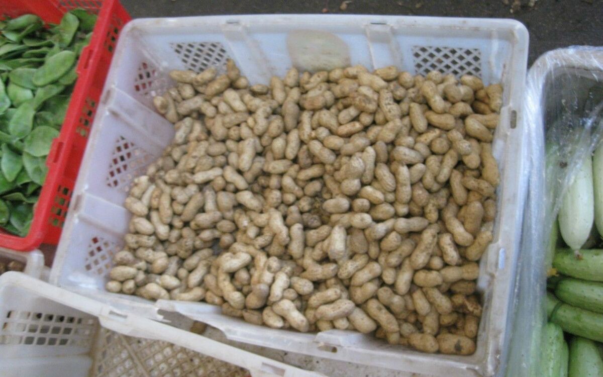 猛毒だから食べると危険 は本当か 中国産ピーナッツの真実 文春オンライン