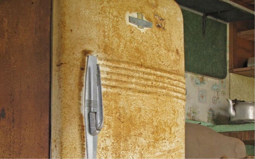 冷蔵庫に入っていたのは「子供の遺体」⋯【12人殺害】イギリス史上最悪の殺人鬼の“あまりに歪んだ夫婦生活”（1970年代・海外の凶悪事件） | 文春オンライン