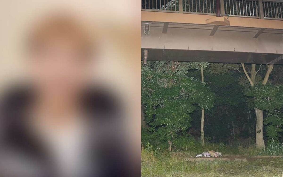 《相模原17歳女子高生殺害》「存在感が薄い“陰キャ”だった」男はなぜ凶行に及んだのか? 19歳容疑者が溺れた「TikTok」と「無免許バイク運転」 | 文春オンライン