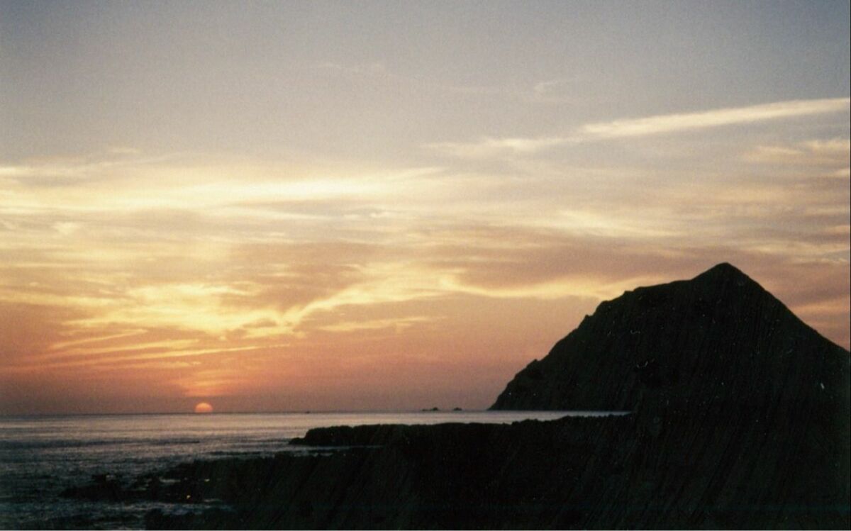 島民のいなくなった土地に「絶滅危惧種」がやってきた…“東京の無人島”を占拠する「意外な生き物」の正体 | 文春オンライン