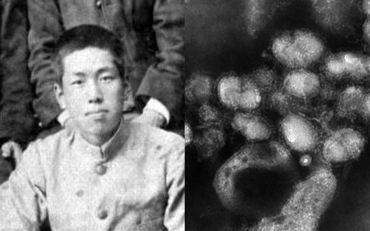 インフルエンザの“正体”を世界で最初に突き止めたのは日本人だった…100年にわたり世界でスルーされてきた3人のドクターの偉業 | 文春オンライン