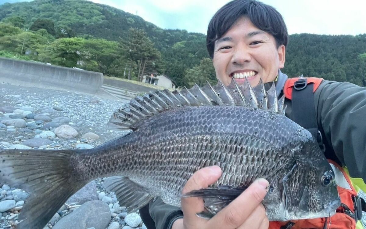 餌代0円でまさかの高級魚が…!? 富山湾で採取した「ホタルイカ」を使っ