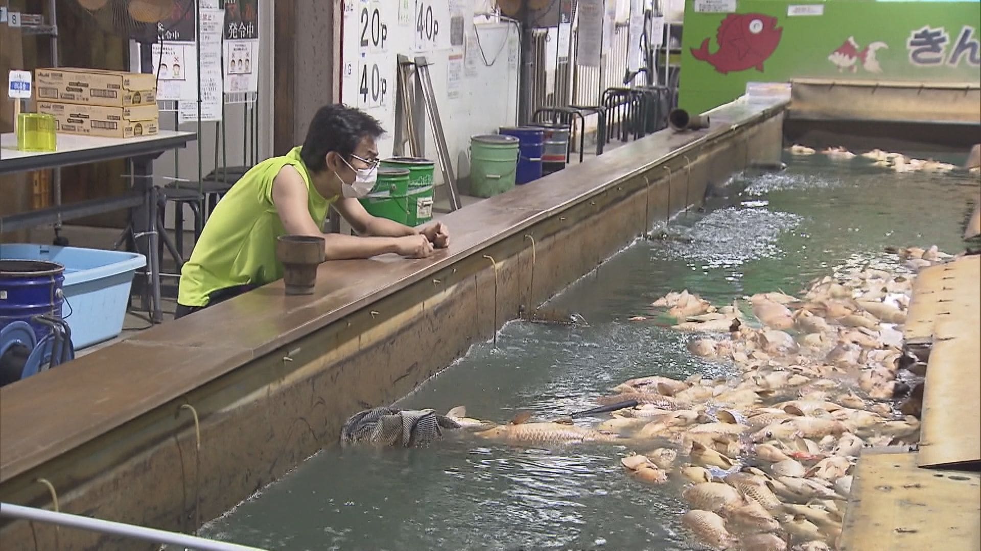 犯人は魚に謝って 窃盗被害時に 魚3000匹大量死 全国から手紙や支援金が 再開への店長の思い 岐阜発 文春オンライン