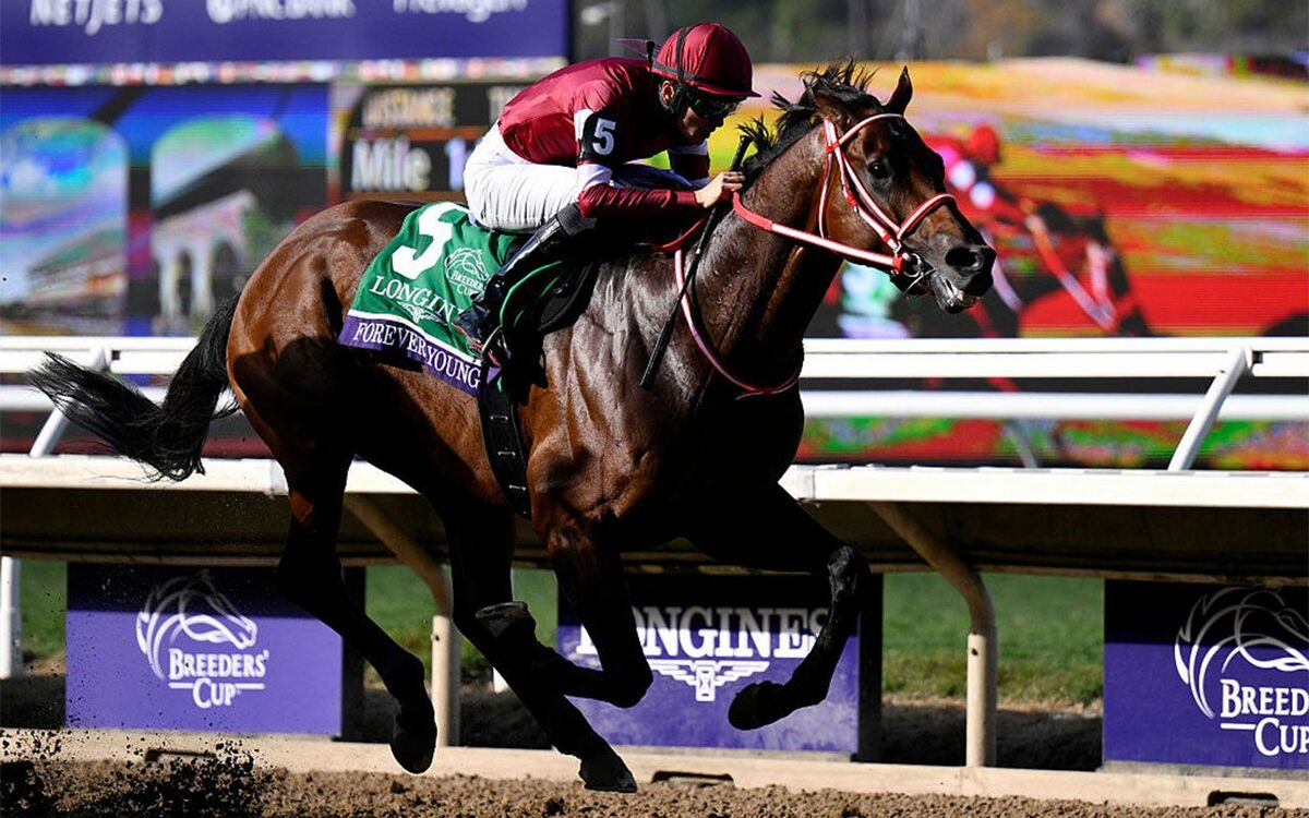 馬主 ラミアスペランツァ、右前膝骨折で手術へ｜シルクHC明け2歳馬の悲報
