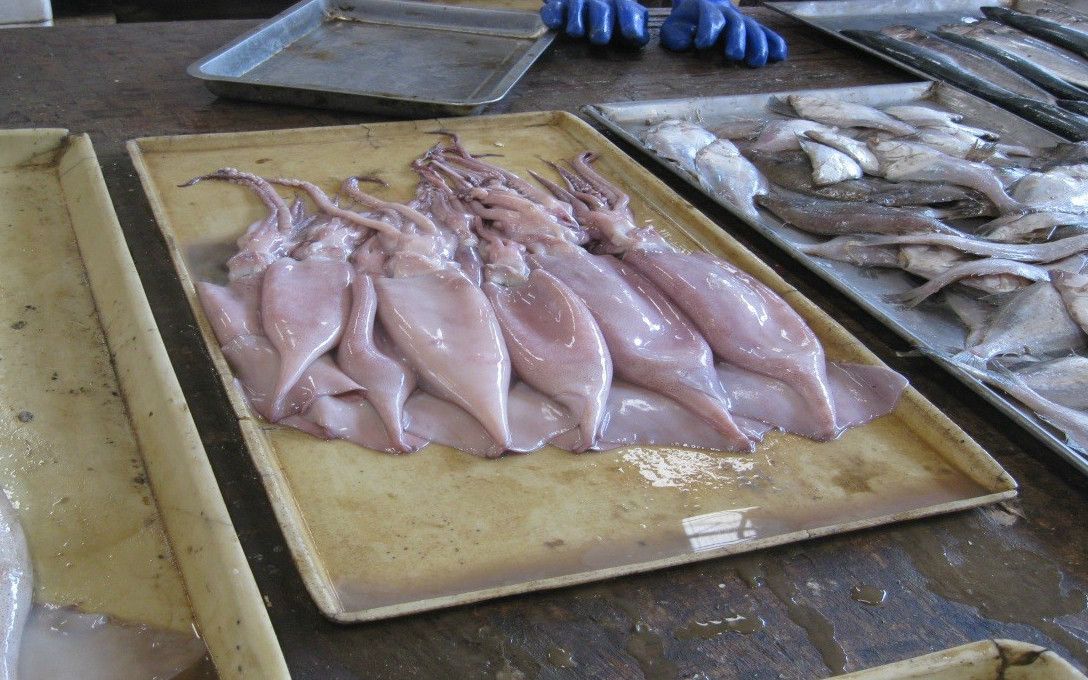 週刊文春記者が見た 危険すぎる中国産食品 2 イカ 白身魚フライ編 文春オンライン