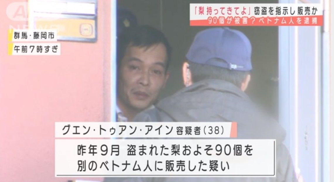 写真 3ページ目 ベトナム人窃盗団が 食物 を狙うようになった食欲ではない 意外な理由 ナシ5000個 豚と牛は生きたまま 文春オンライン 写真 3ページ目 ベトナム人窃盗団が 食物 を狙うようになった食欲ではない 意外な理由 ナシ5000個 豚と牛は生きたまま 文春オンライン
