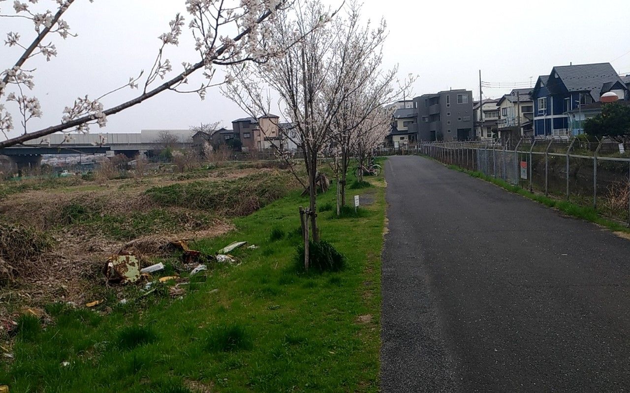 七里 殺人 の 森