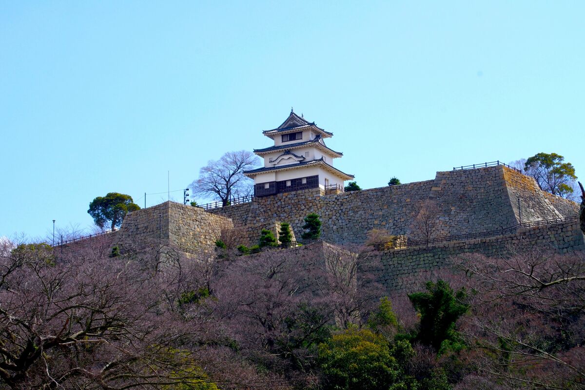 写真]天災で崩れても、やっぱり名城！ 「石の要塞」と呼ばれる丸亀城を