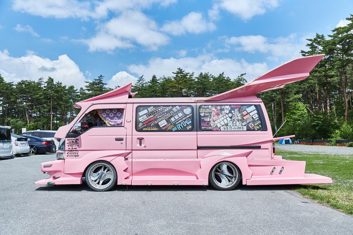 写真](4ページ目)「なんでこうなったのかな…」19万円で購入した絶滅