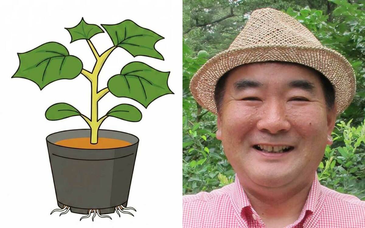 NHK『やさいの時間』でお馴染み》野菜づくりの専門家・藤田智先生が
