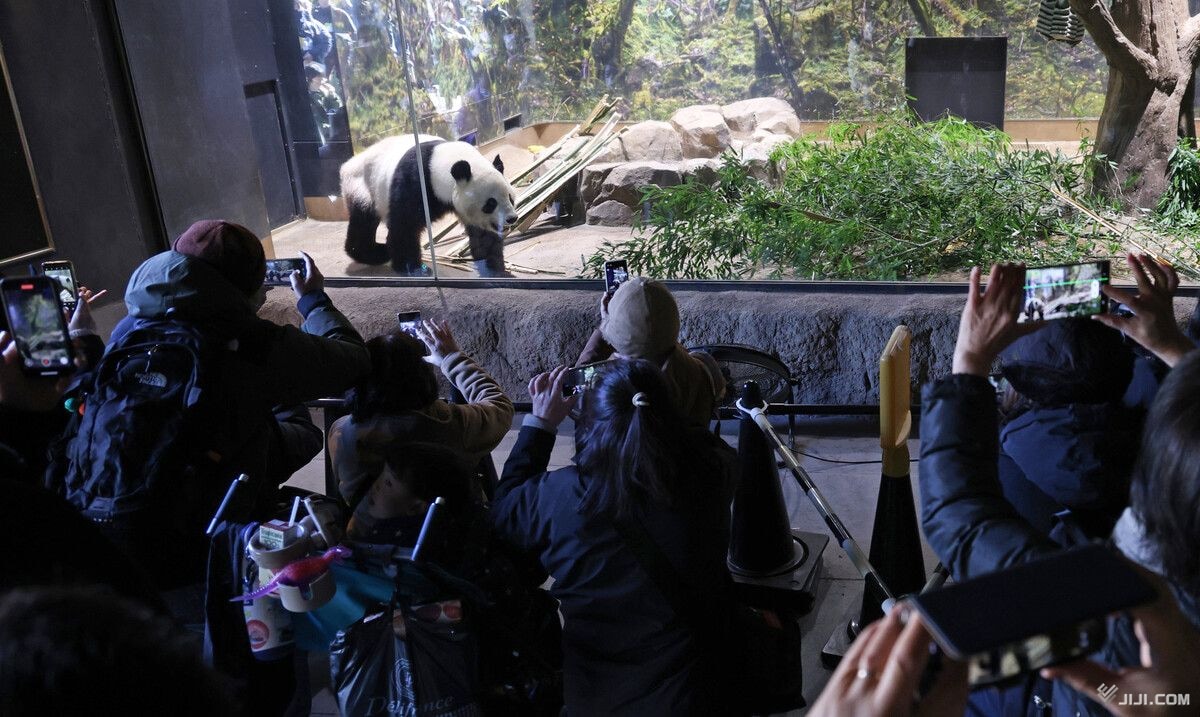 上野のパンダ「中国でも元気で」事前抽選による最終観覧日に別れを