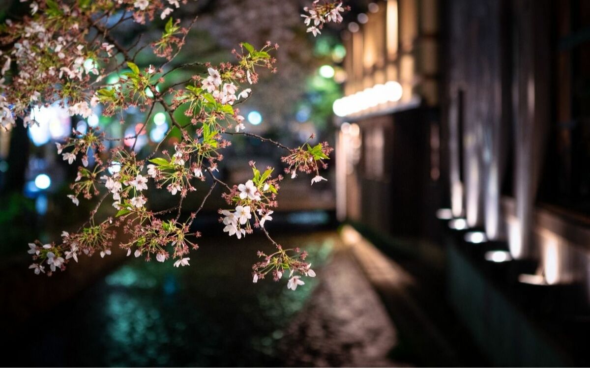 娘を売った金ですぐに女を買った父親、風呂に入って温まると絵が現れる“隠れ入れ墨”の娼妓…目撃者が明かす「西日本有数の遊廓」のリアル | 文春オンライン