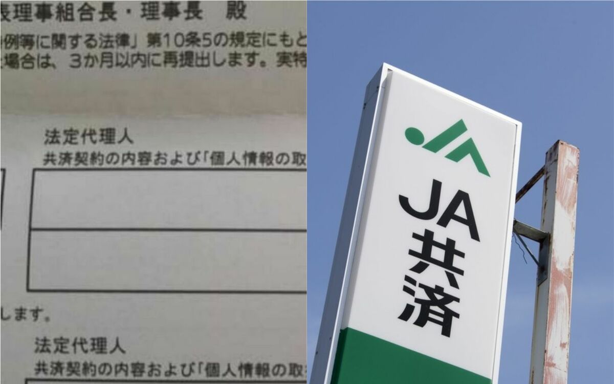 ja 共済標章 ステッカー 販売 新しい