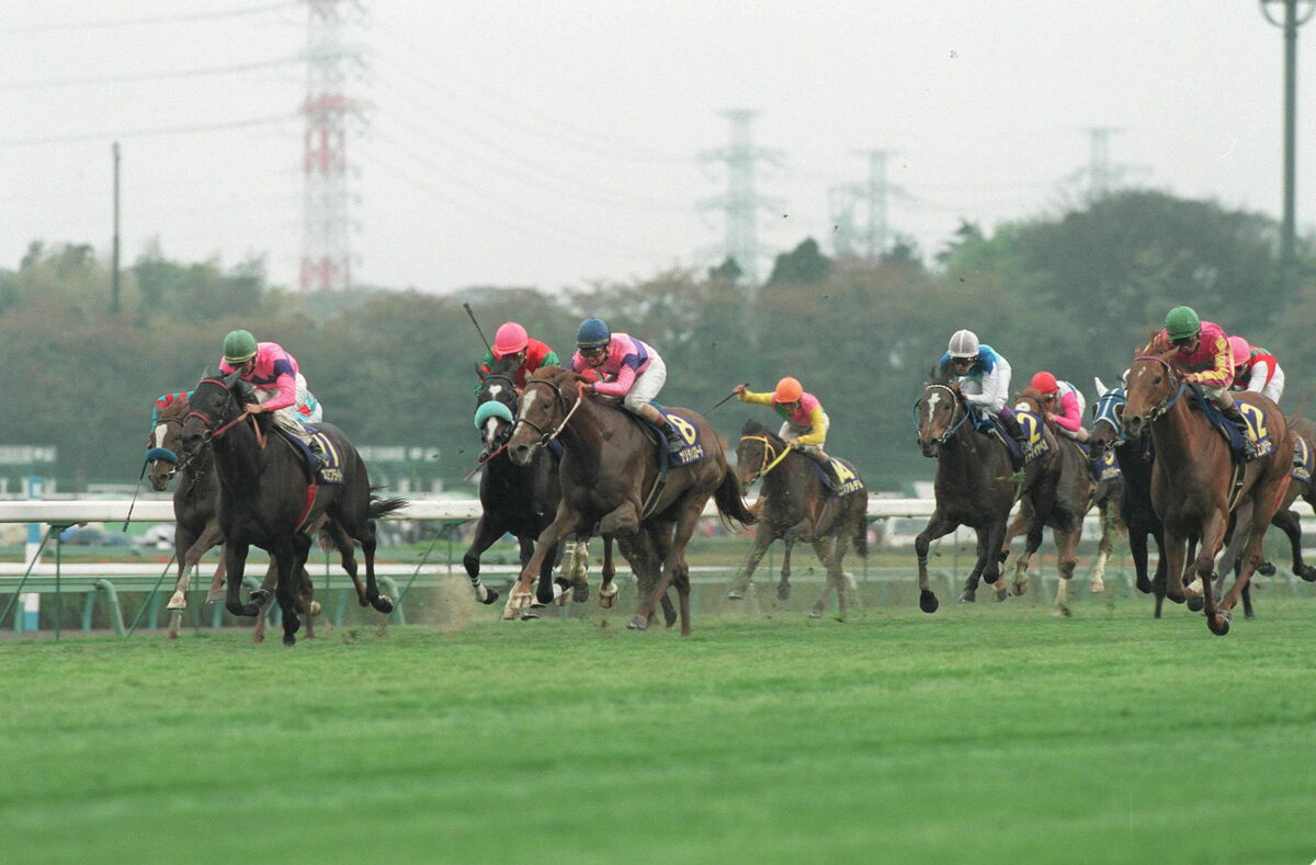 写真]1000万円で買った馬が“7つのG1レース”を制覇…誰もが「ラッキー」と見誤ったテイエムオペラオーの底力 | 文春オンライン