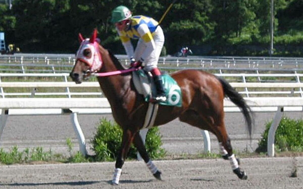 (3ページ目)負けても走り続けるファンと馬――敗者・ハルウララが