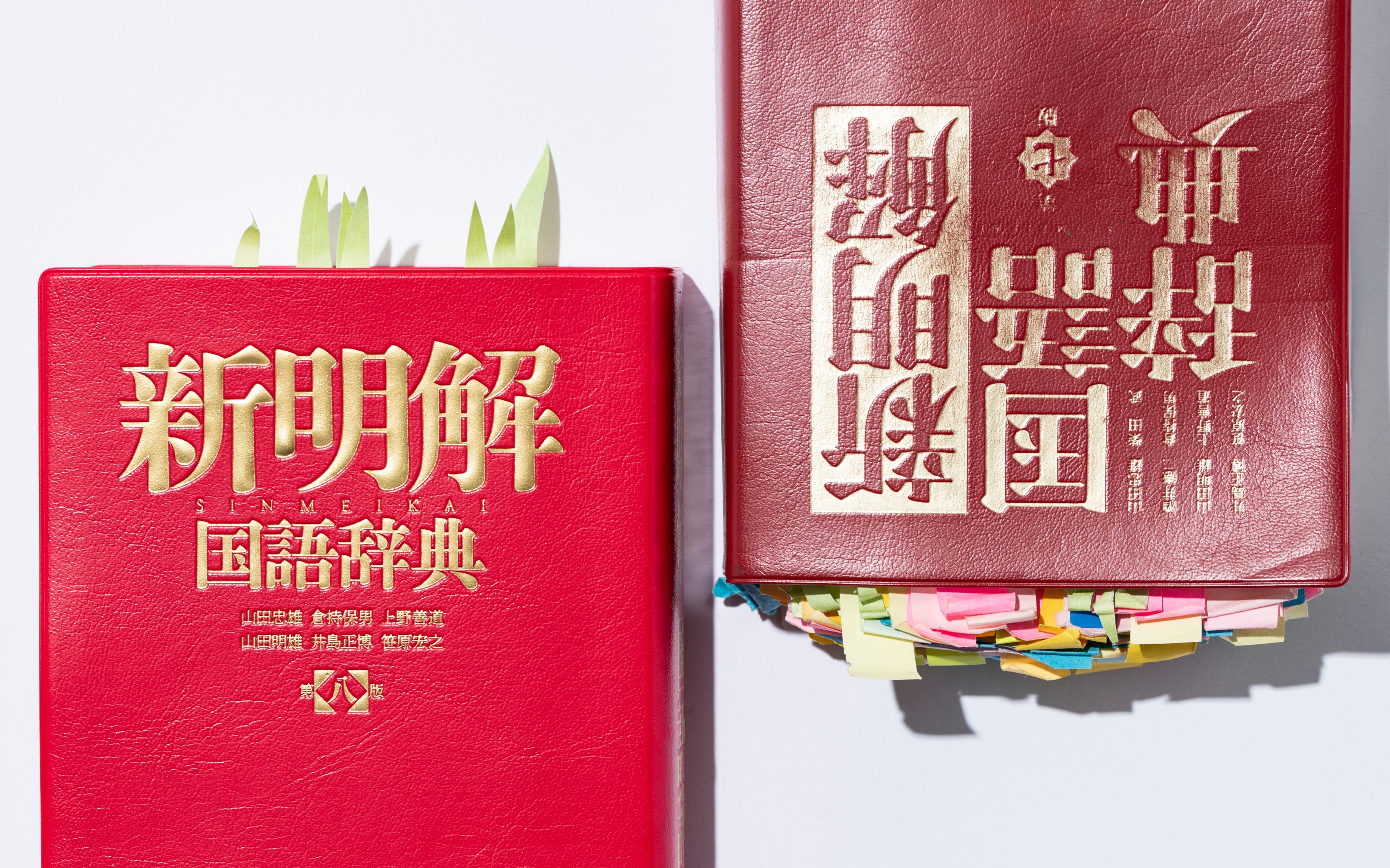 日本で一番売れている辞書 新解さん 9年ぶり改訂で 忖度 の用例が変化していた 文春オンライン