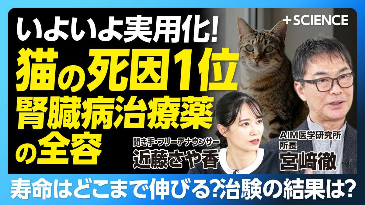 【年内には実用化へ？「死因1位」猫の腎臓病治療薬の全容】