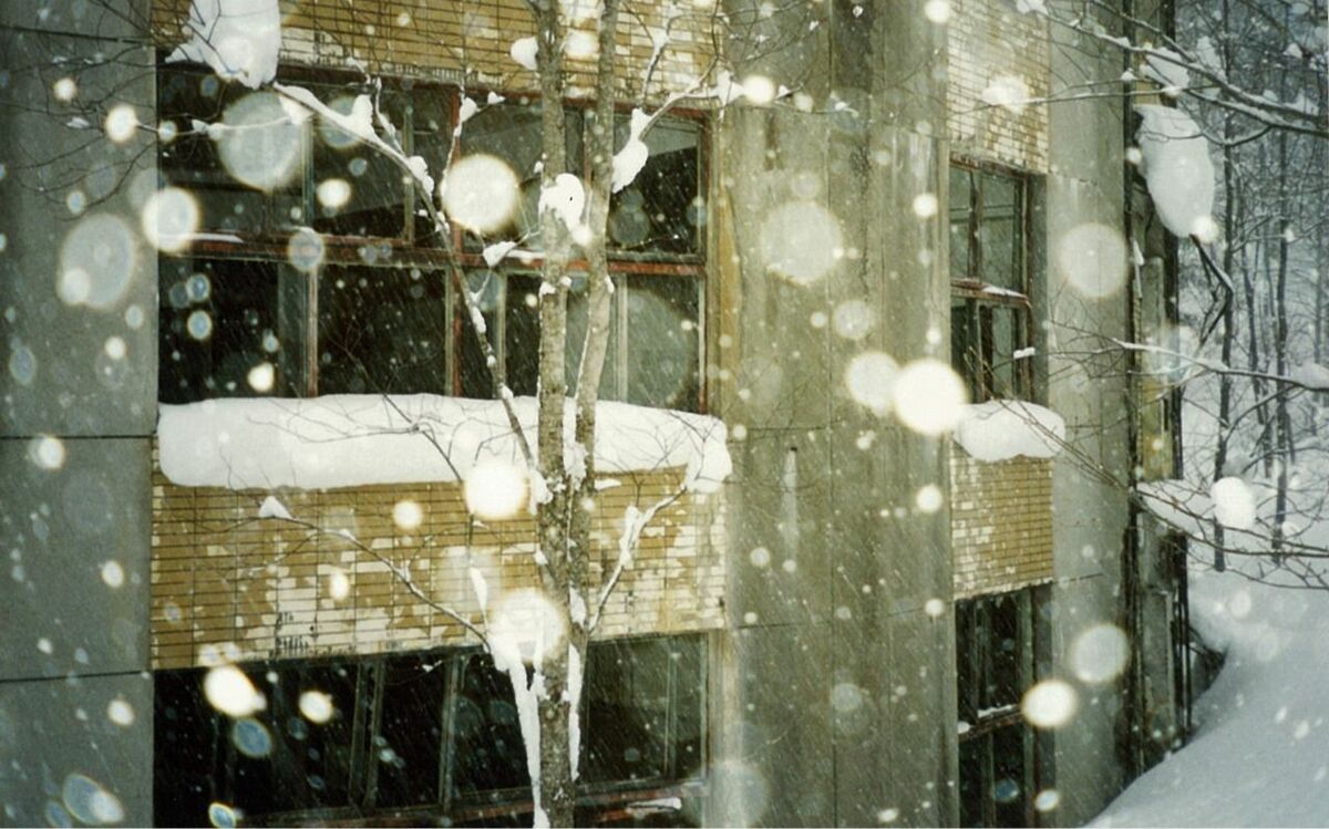 50年前に「廃村」になった集落を訪ねると…北海道の山中に広がっていた「水没した校舎」を取り囲む“衝撃の光景” | 文春オンライン