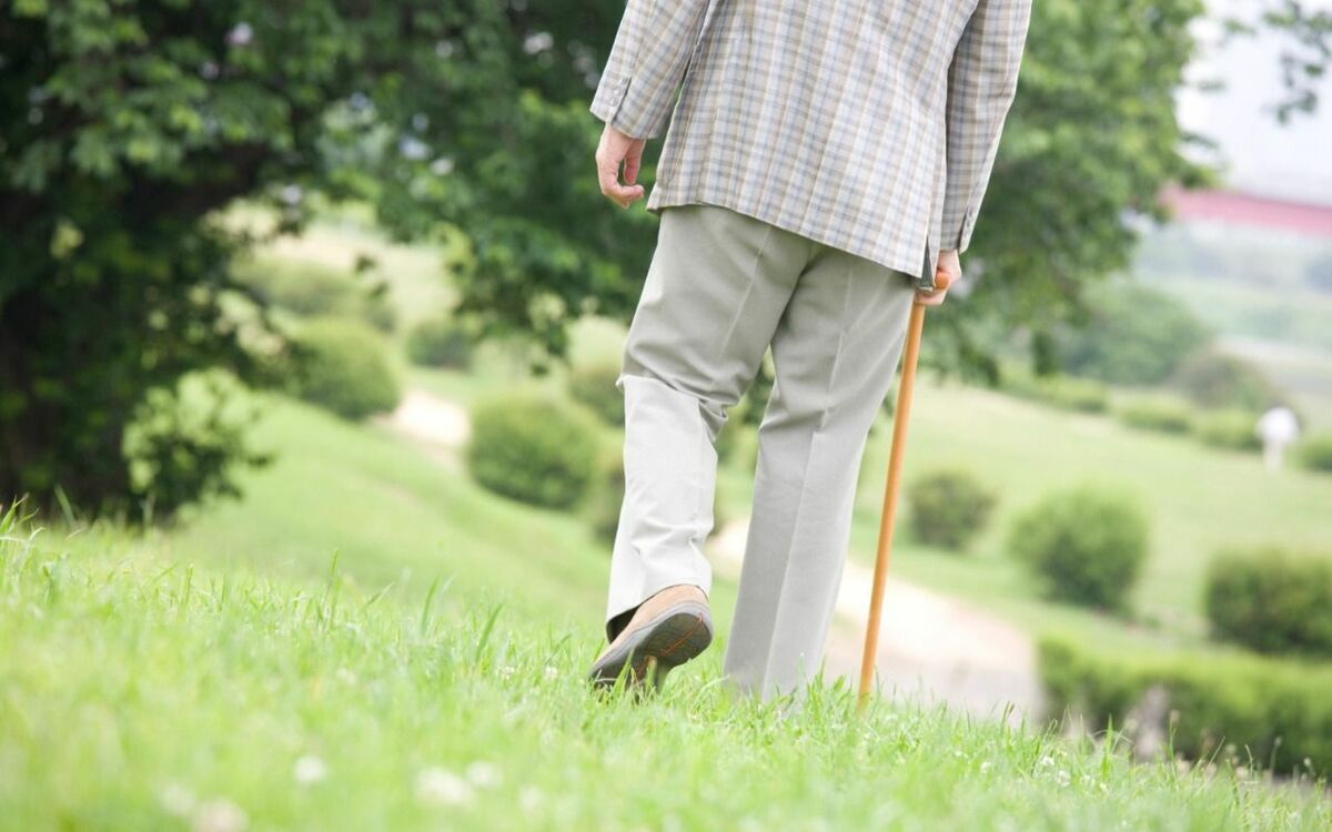 給仕を受けないと食事ができない…認知症の父の姿に息子は「家父長制に対する女性たちの復讐なのかもしれない」 | 文春オンライン