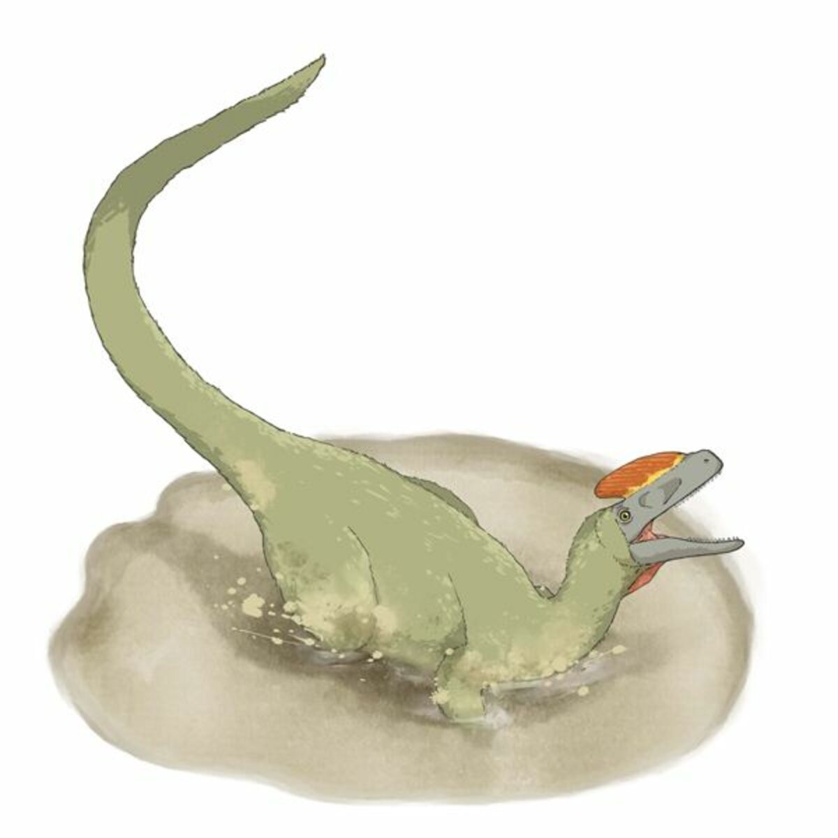 史上最大級の翼竜は大きすぎて飛べなかった 知れば切なくなる ざんねんな よわい恐竜 たちの真実 文春オンライン