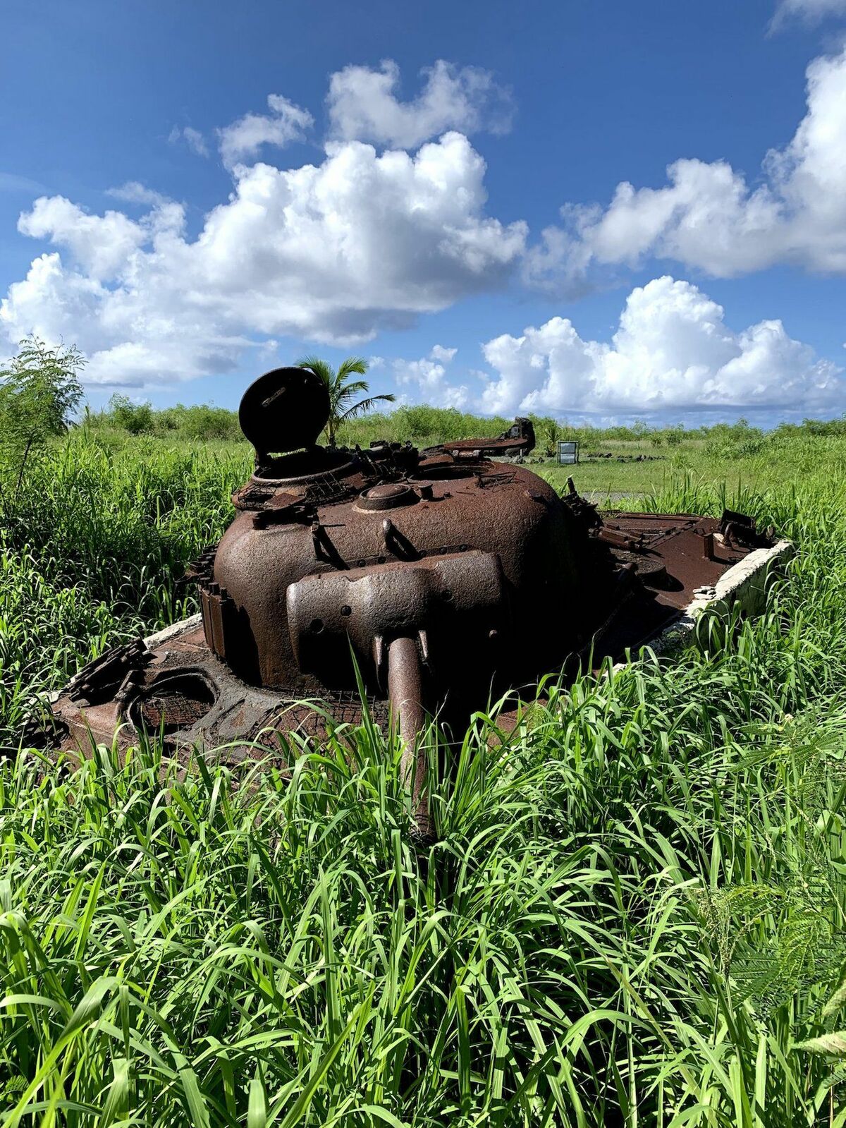 [写真](4ページ目)「頭がそっくりない遺体が多い島なんだ」硫黄島で散った日本兵たちは、なぜ「首なし兵士」になったのか？ 文春オンライン