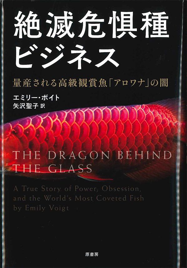 アロワナ1匹3000万円 絶滅危惧種ビジネスの実態とは 文春オンライン