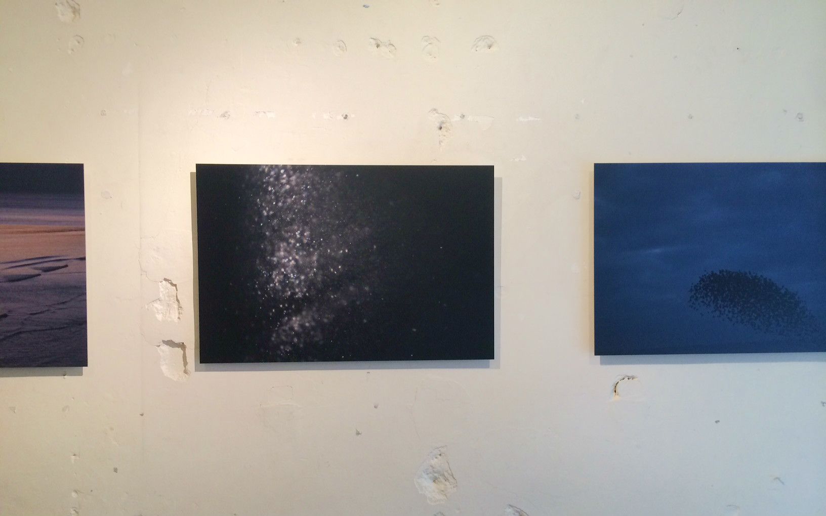 写真](2ページ目)川内倫子の写真の「生命感」はどこからくるか | 文春