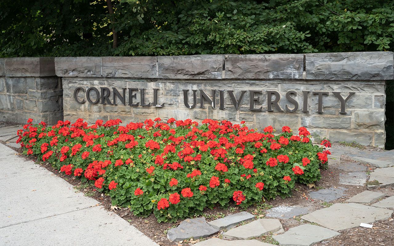 3ページ目 遺伝子ダイエット 佐藤芹香に ニセ医者疑惑 を直撃 楽天pcr検査キット 開発会社トップの正体 文春オンライン