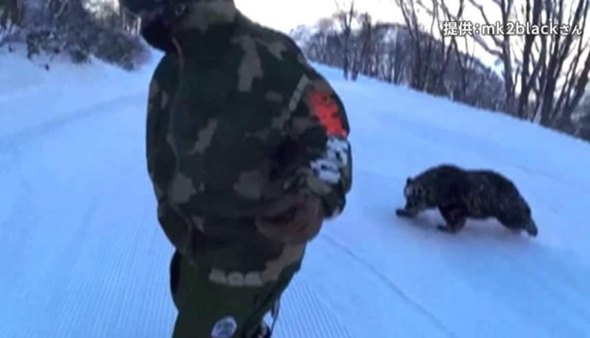 目が合った」クマがスキー場に出没“猛ダッシュ”で追いかけられる