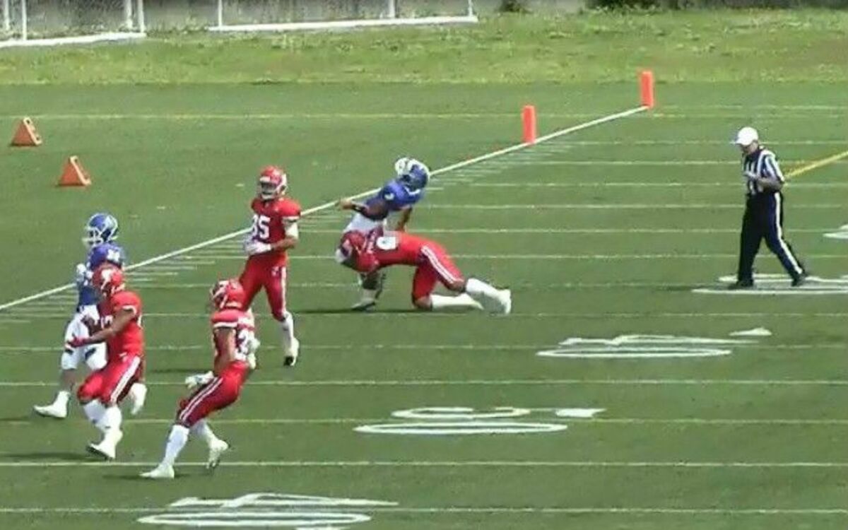 日大 内田正人監督が辞意表明 アメフト部obの証言 人の上に立ってはいけない人物だった 文春オンライン