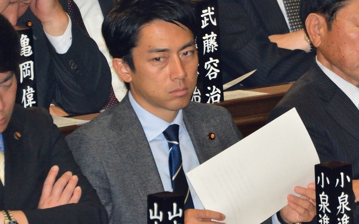 ポスト安倍 人気急落 小泉進次郎は滝クリ結婚で何を失ったのか プリンスは必ず転落する 文春オンライン