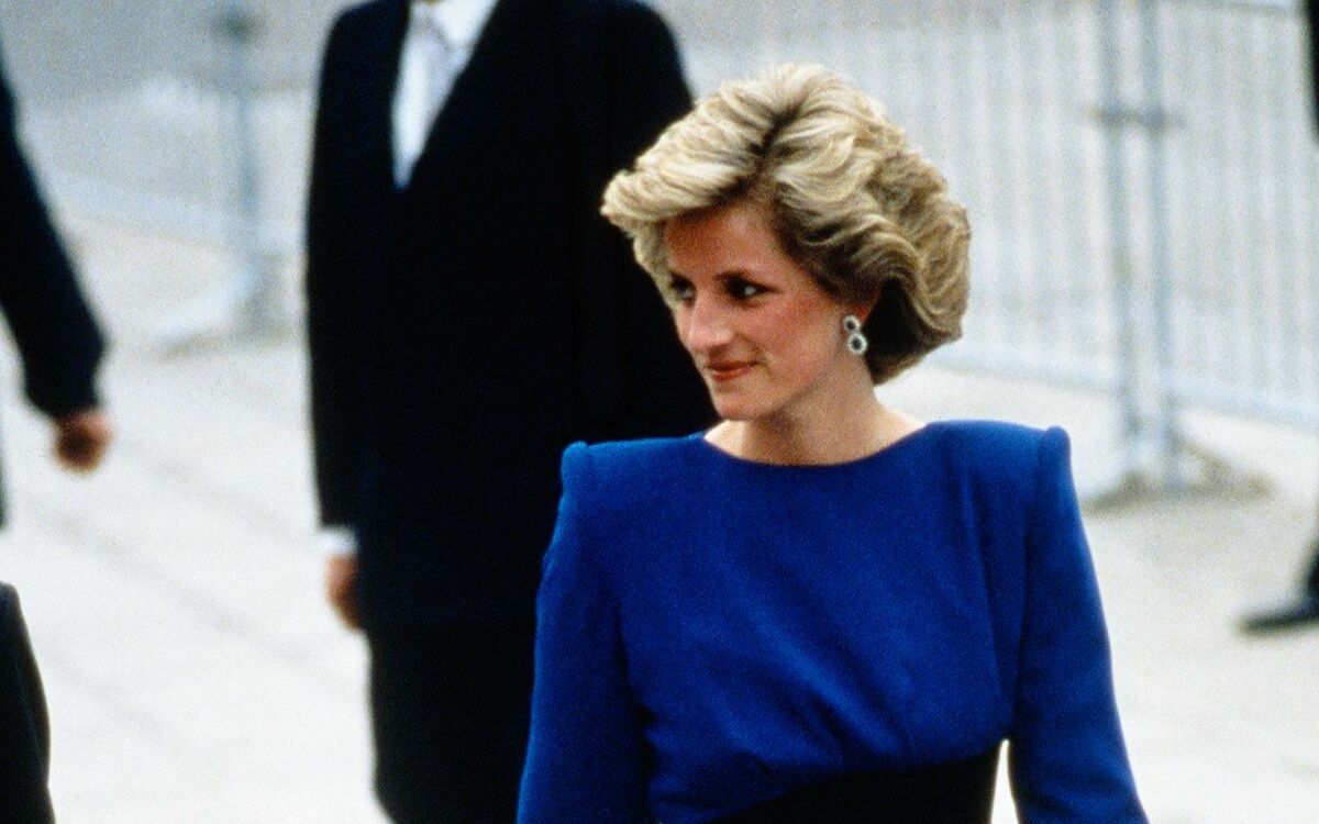 ダイアナ妃 現物販売：メダカ「ダイアナ妃 3ペア」 | めだか屋「うなとろ