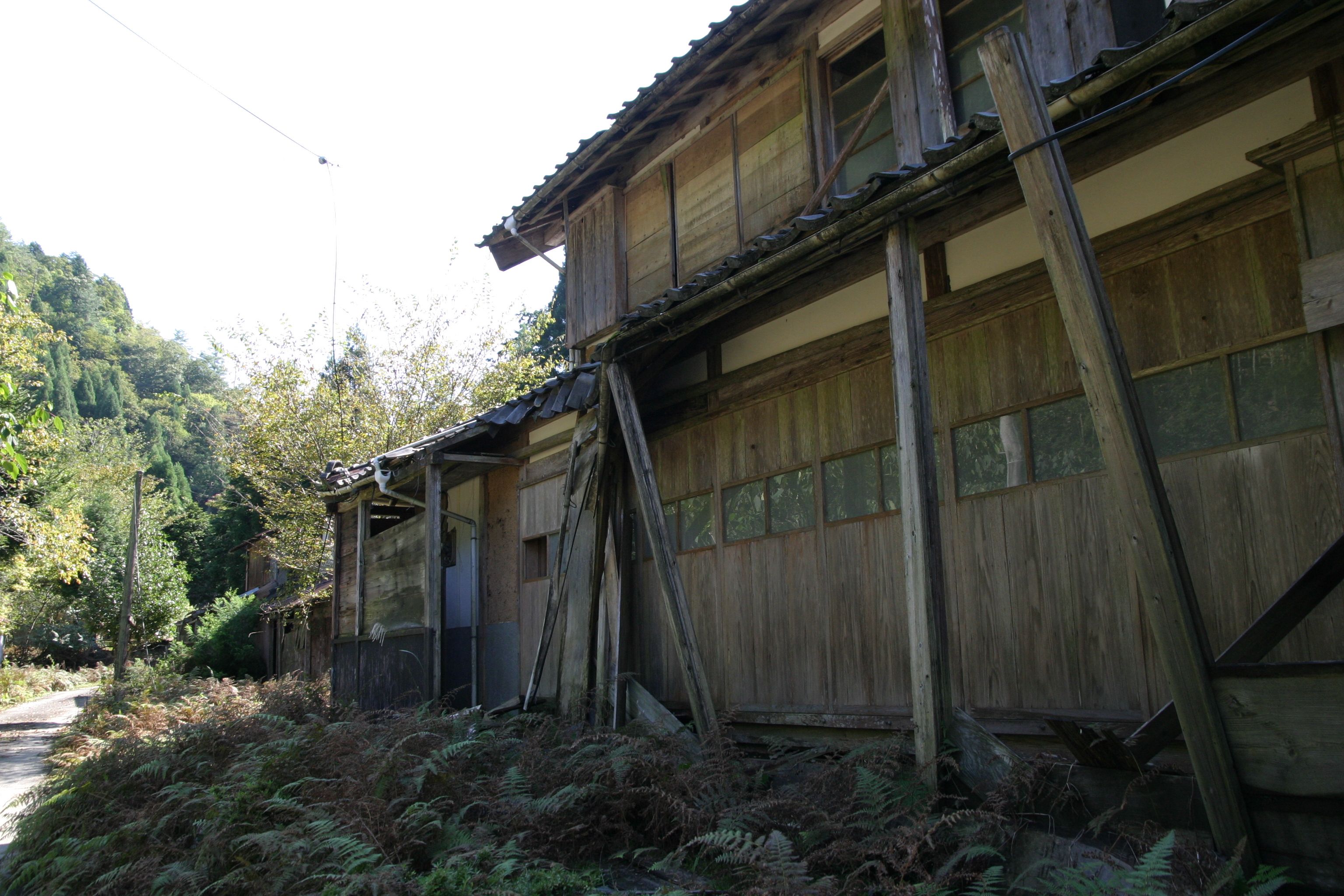 [写真](20ページ目)全住民退去もダム計画が消滅…水没しなかった「悲哀の廃村」無人化から“35年目の世界” | 文春オンライン