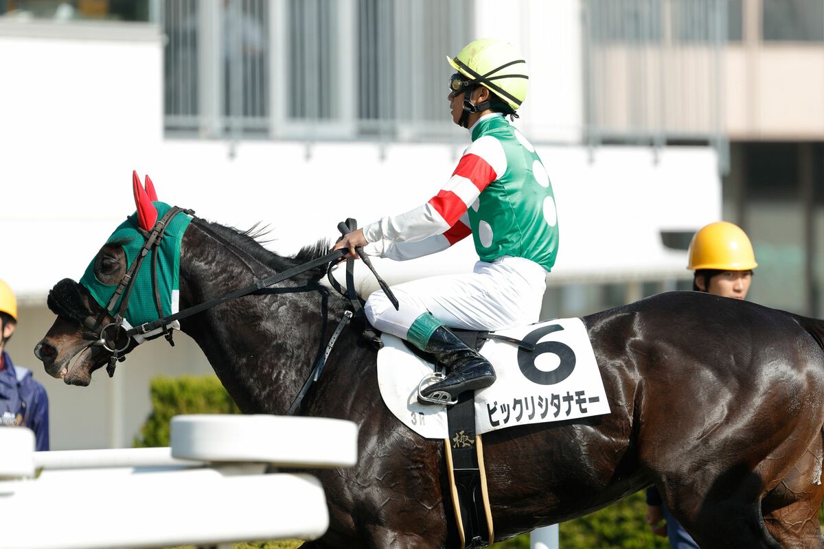 写真 5ページ目 オレハマッテルゼ モチ ビックリシタナモー 珍名馬界のレジェンド馬主が明かす 協会に却下された実況アナ泣かせの馬名 文春オンライン