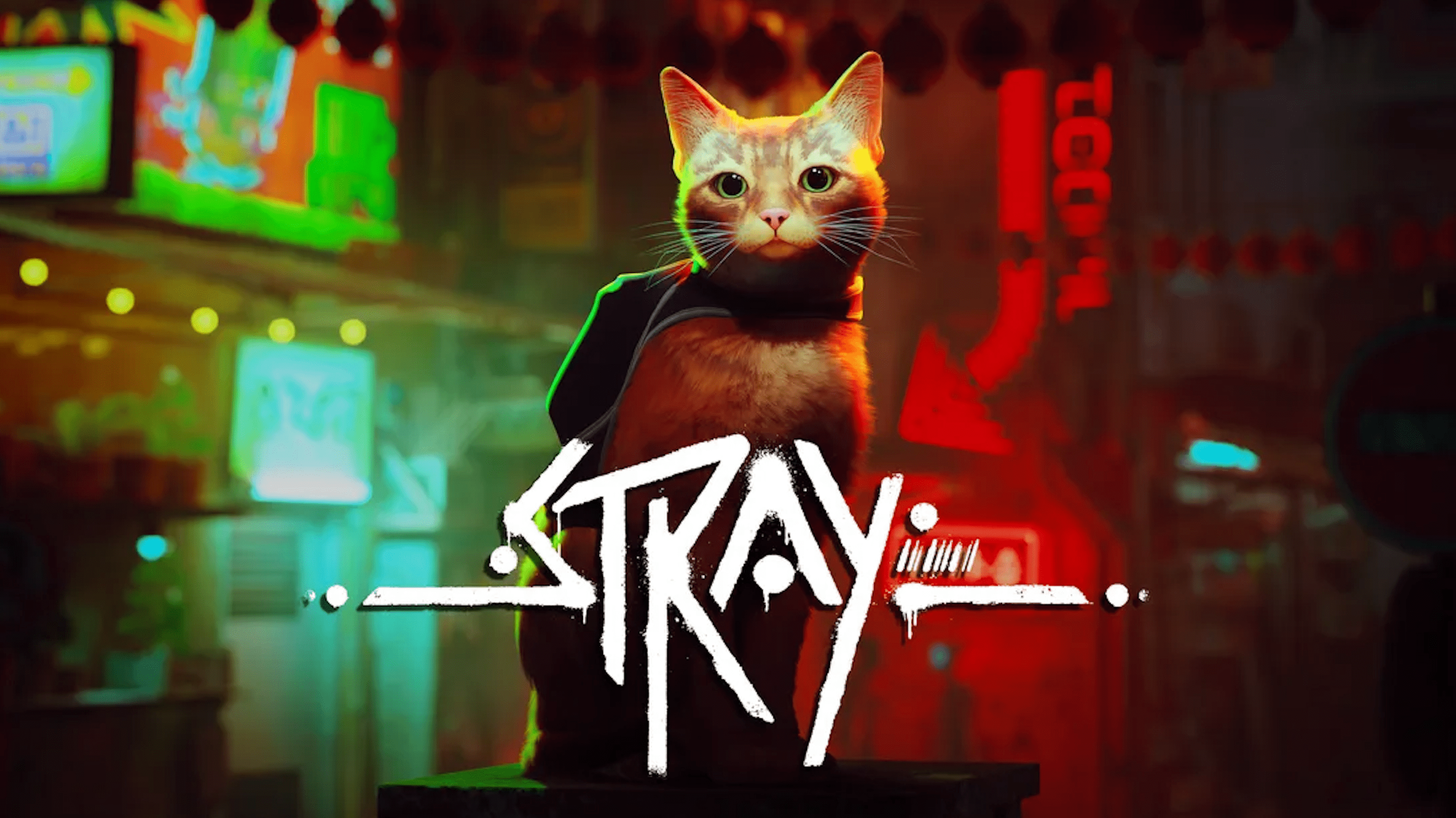 高すぎる 猫への解像度が 気鋭の 猫研究者 が話題のゲーム Stray に感じた 正直な印象 とは 文春オンライン みんなが いいね と言ったから 七月十 ｄメニューニュース Nttドコモ