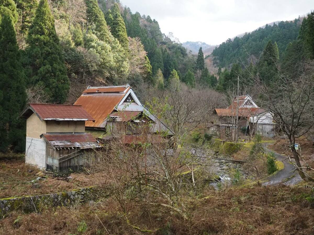 [写真](25ページ目)全住民退去もダム計画が消滅…水没しなかった「悲哀の廃村」無人化から“35年目の世界” | 文春オンライン