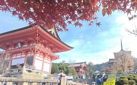 「8割ほどがキャンセル」中国政府の“渡航自粛”呼びかけで京都の4つ星ホテルも困惑「損失は2000万円」キャンセル料を請求できないケースも | 文春オンライン