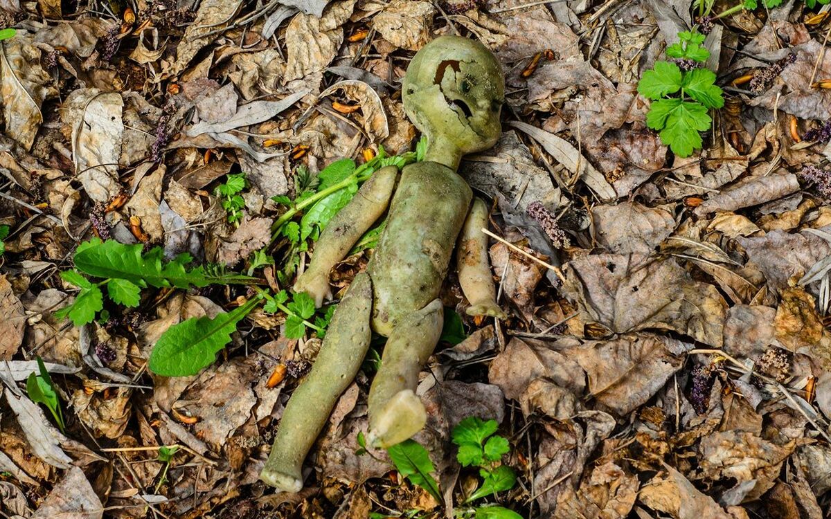 「消えた少女の骨」が発見、「被害者の不倫相手が犯人」の新証言も出たけれど⋯男女4人が殺される残虐事件が『未解決』に終わったワケ(海外の事件・昭和56年) | 文春オンライン