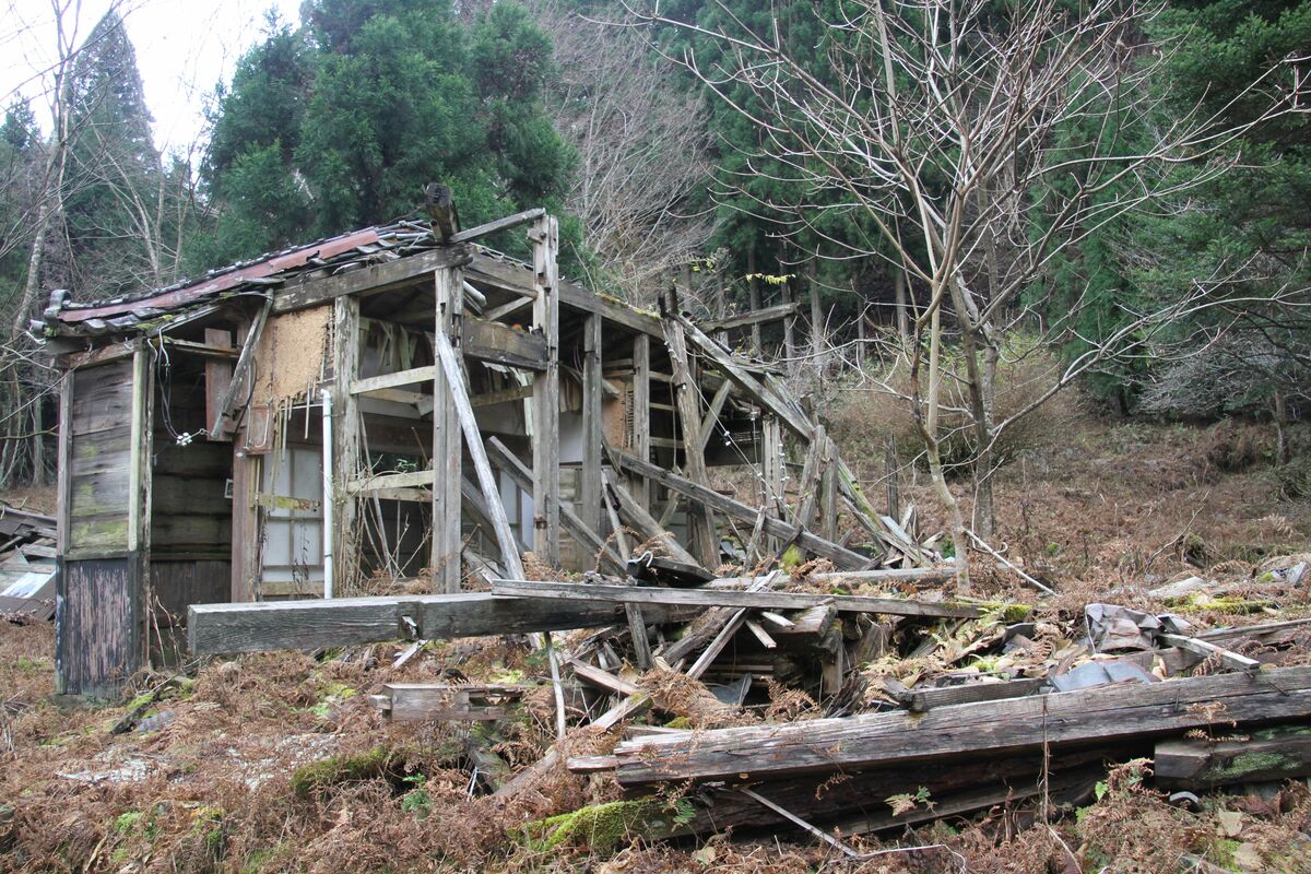 [写真](30ページ目)全住民退去もダム計画が消滅…水没しなかった「悲哀の廃村」無人化から“35年目の世界” | 文春オンライン