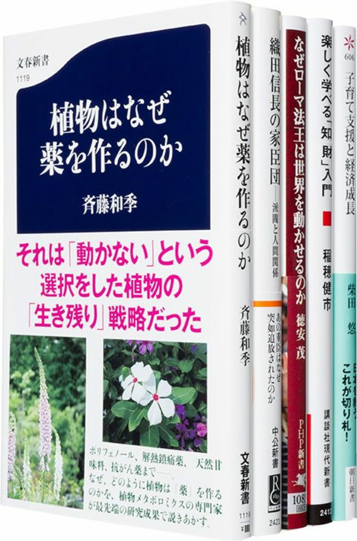 織田信長の家臣様専用 塞き止め