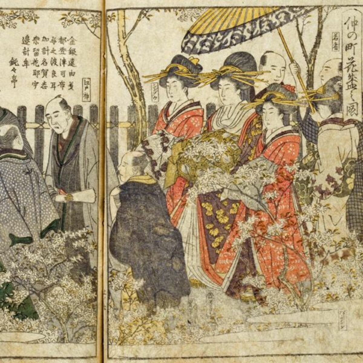 蘭華譜 昭和41年復刊版500部限定版小原流水翁編者 蘭華譜 昭和41年復刊