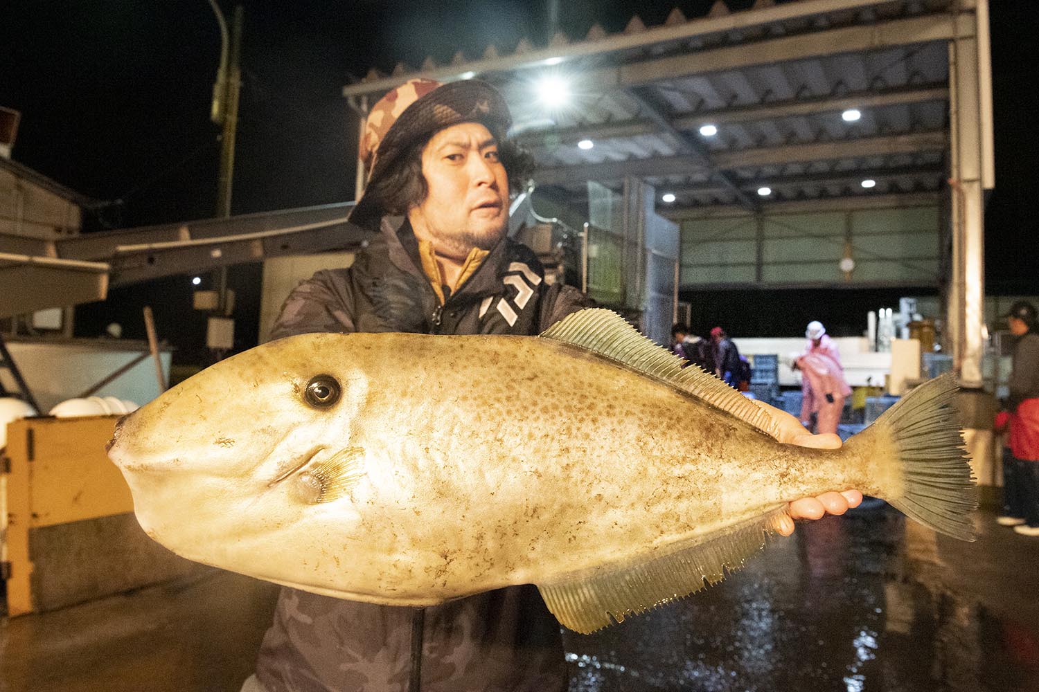 写真 3ページ目 至高の キモうま グルメ 七尾市崎山に怪魚 グンカン を追う 移動編集部 文春オンライン