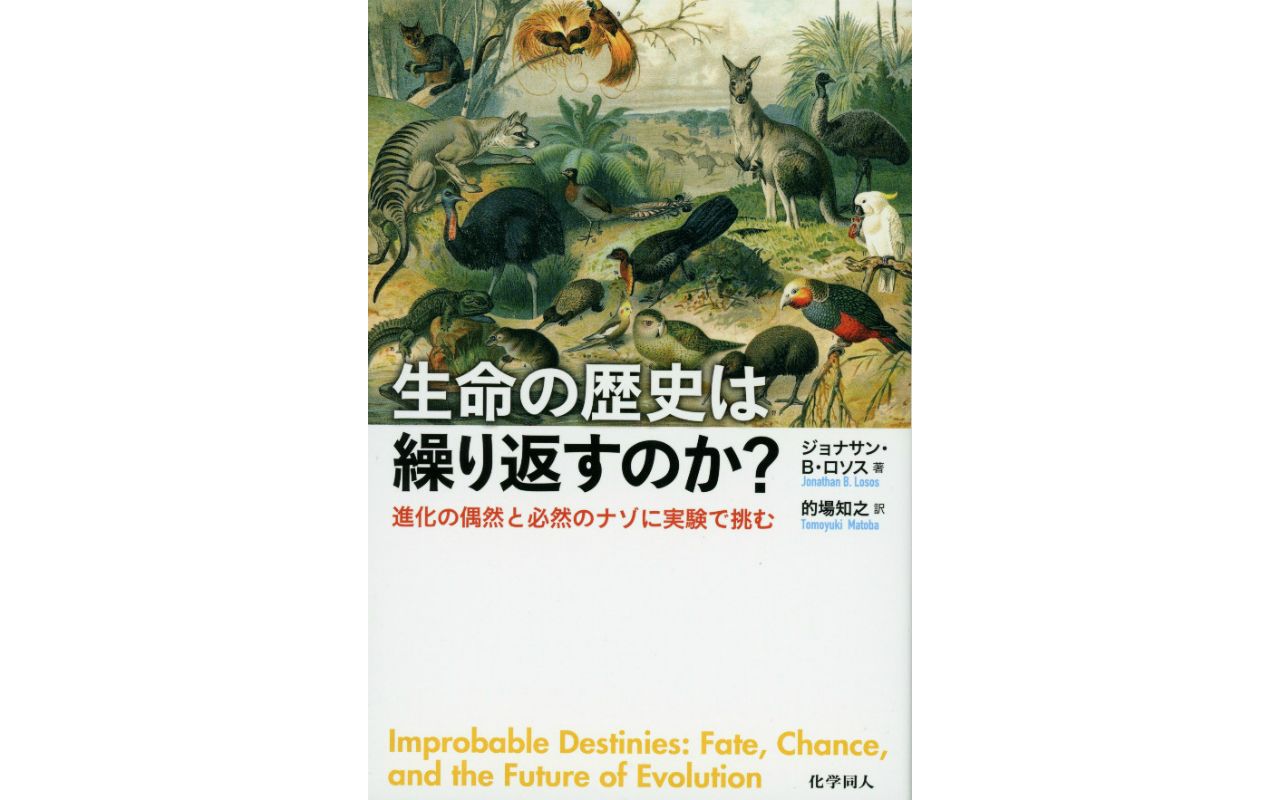 同じ環境条件があれば、生物は同じように進化するのか？」 興味深い