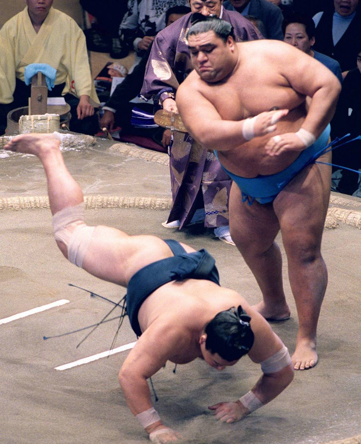 写真 4ページ目 小錦と武蔵川が考える外国人横綱の 品格 白鵬はまるで ビンタ しているみたい 横綱相撲ではない 文春オンライン