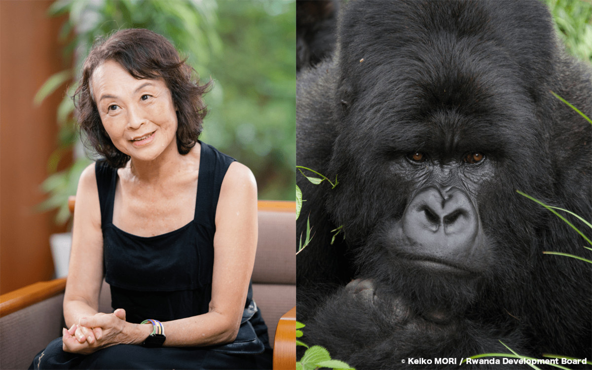 「襲われて死んでも、幸せだったと思ってね」中学生の娘に言い残してアフリカへ…ジャングル取材歴13年超の女性写真家が語る「私がゴリラを追いかけるワケ」 | 文春オンライン