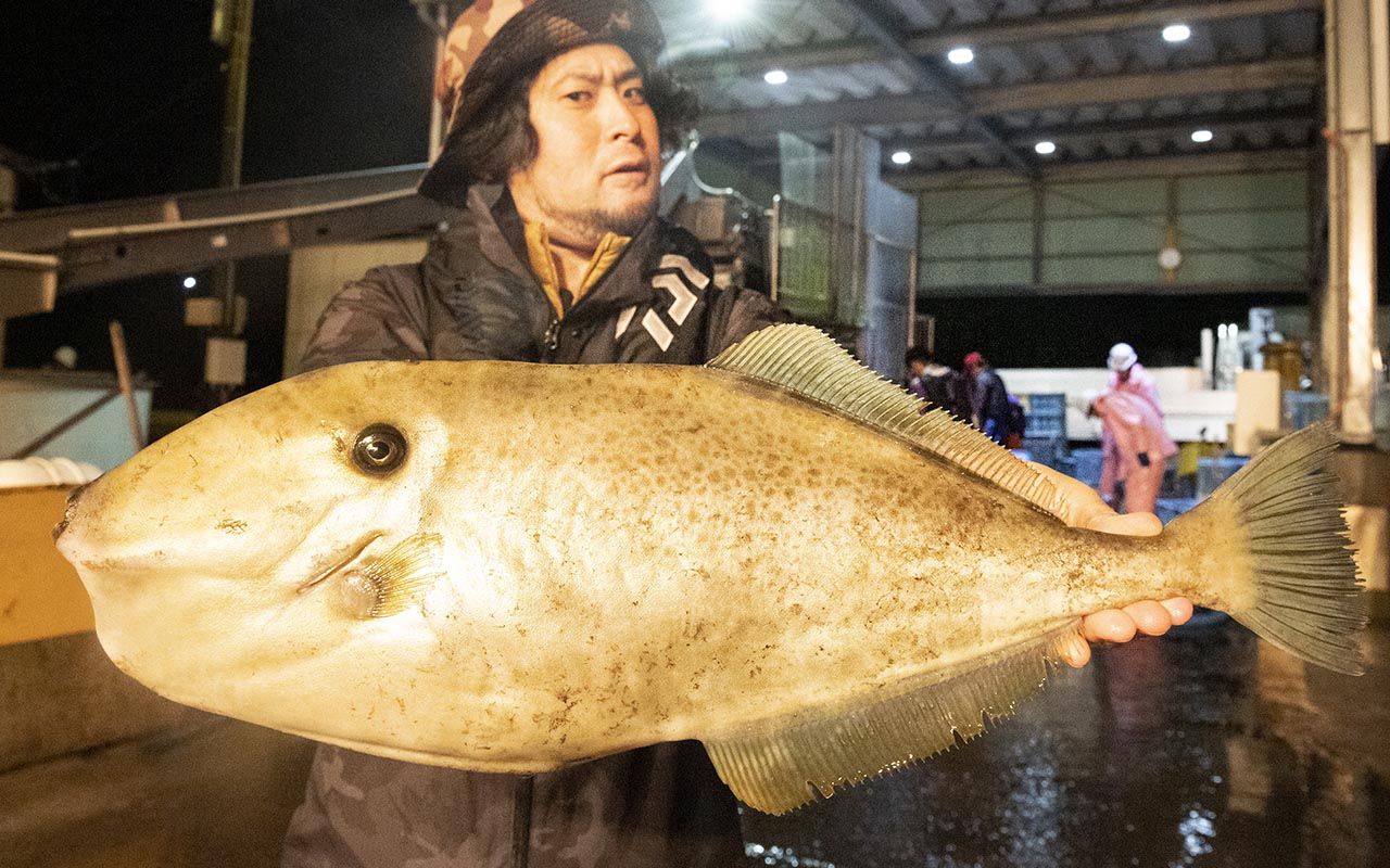 至高の キモうま グルメ 七尾市崎山に怪魚 グンカン を追う 移動編集部 文春オンライン