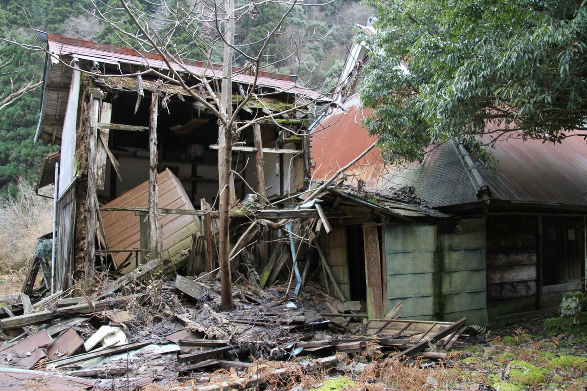 [写真](32ページ目)全住民退去もダム計画が消滅…水没しなかった「悲哀の廃村」無人化から“35年目の世界” | 文春オンライン