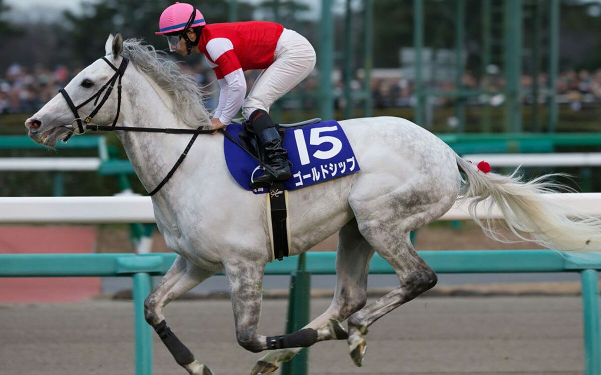 写真あり》117億円の馬券が一瞬にして「紙くず」に…多くの競馬ファンが