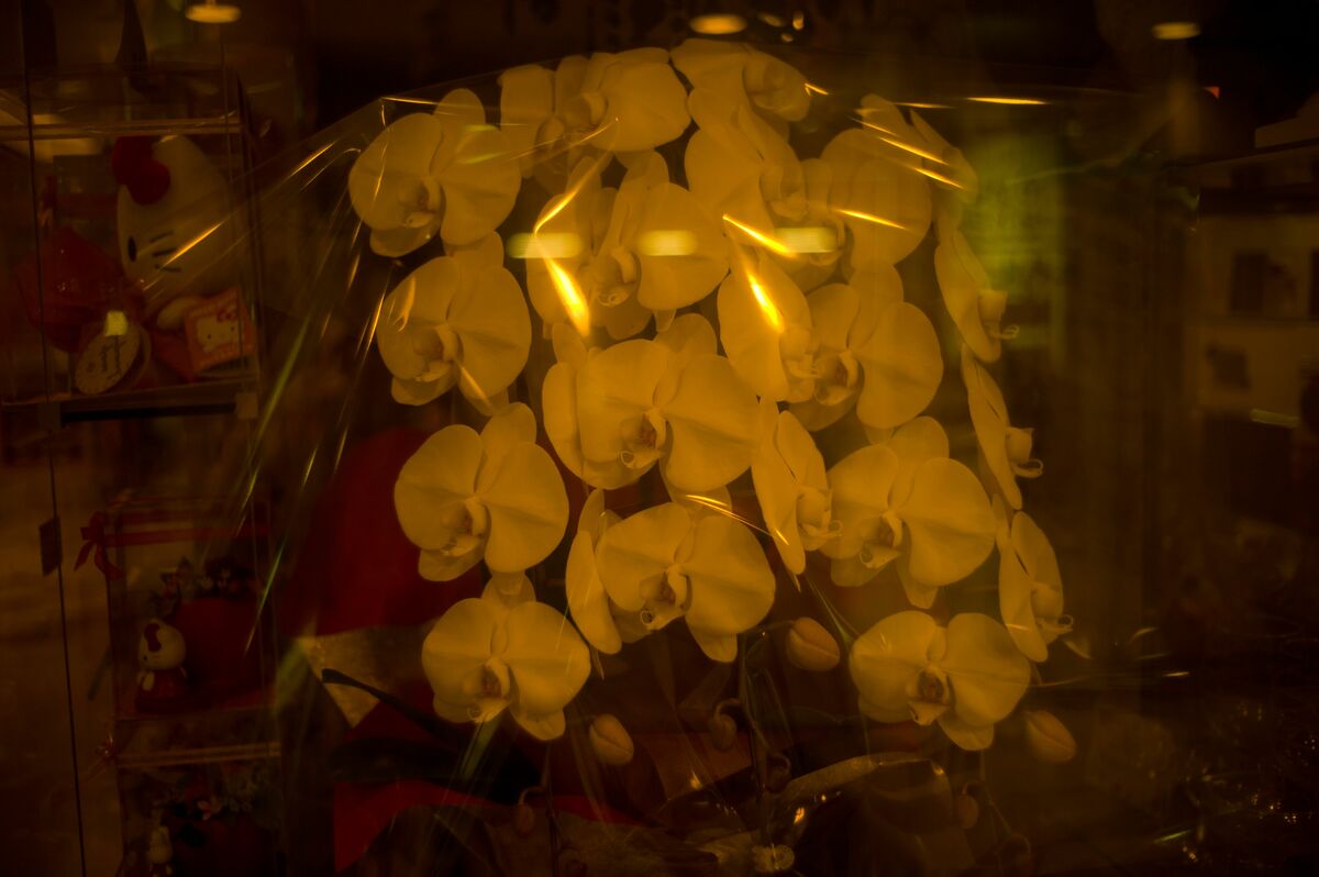 写真 10ページ目 街が静かに 清々しくなった気持ちもあるけど 自衛官 理容師 ホスト 風俗店従業員の男性が語ったコロナ禍 ススキノのリアル 文春オンライン