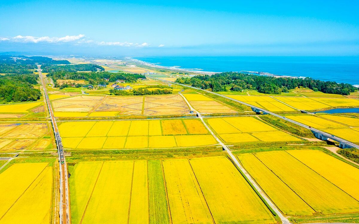 地上げ屋を直撃〉「交渉は本当に神経を使う。その割に見返りがね